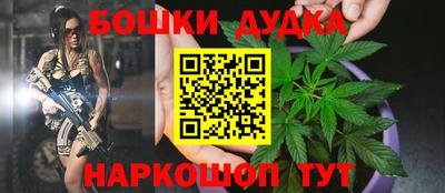 индика Кунгур