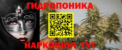 индика Кунгур